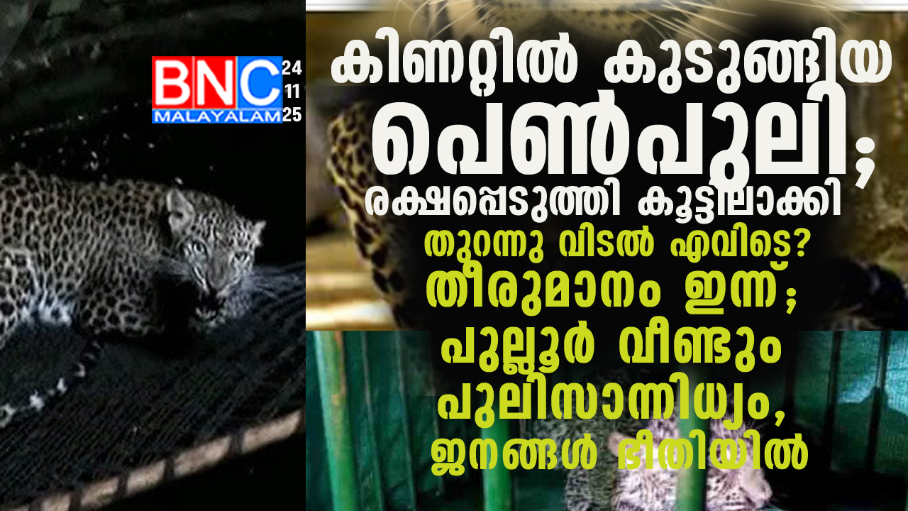 35: കിണറ്റിൽ കുടുങ്ങിയ പെൺപുലി; രക്ഷപ്പെടുത്തി കൂട്ടിലാക്കി — തുറന്നു വിടൽ എവിടെ? തീരുമാനം ഇന്ന്; പുല്ലൂർ ; വീണ്ടും പുലിസാന്നിധ്യം, ജനങ്ങൾ ഭീതിയിൽ
