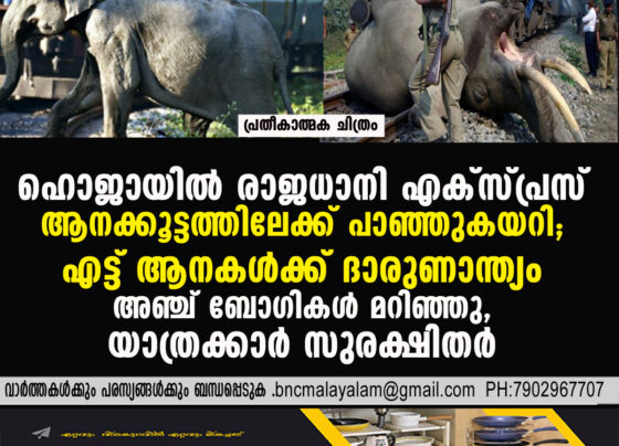 Bloody Tracks in Hojai: Rajdhani Express Mows Down Elephant Herd, Eight Killed