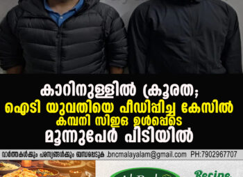 IT CEO Arrested in Udaipur Over Alleged Sexual Assault of Woman Inside Moving Car