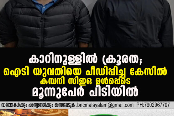 IT CEO Arrested in Udaipur Over Alleged Sexual Assault of Woman Inside Moving Car