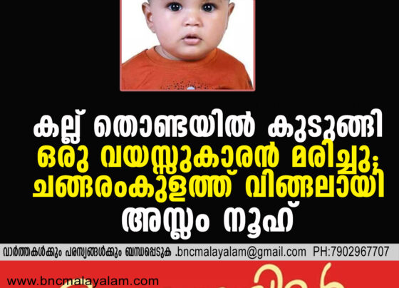 One-Year-Old Dies After Pebble Gets Lodged in Throat in Changaramkulam English Summary