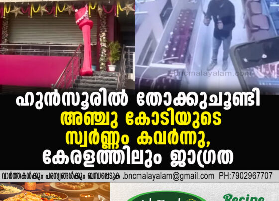 Armed Gang Robs ₹5 Crore Worth of Gold and Diamonds from Hunsur Jewellery Store; Kerala on Alert