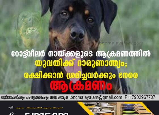 Horror in Karnataka: Woman Mauled to Death by Abandoned Rottweilers; Rescuers Attacked