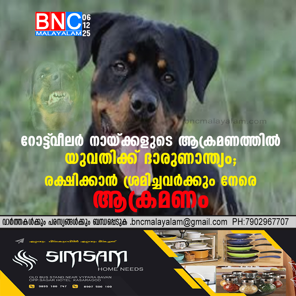 102: റോട്ട്‌വീലർ നായ്ക്കളുടെ ആക്രമണത്തിൽ യുവതിക്ക് ദാരുണാന്ത്യം; രക്ഷിക്കാൻ ശ്രമിച്ചവർക്കും നേരെ ആക്രമണം