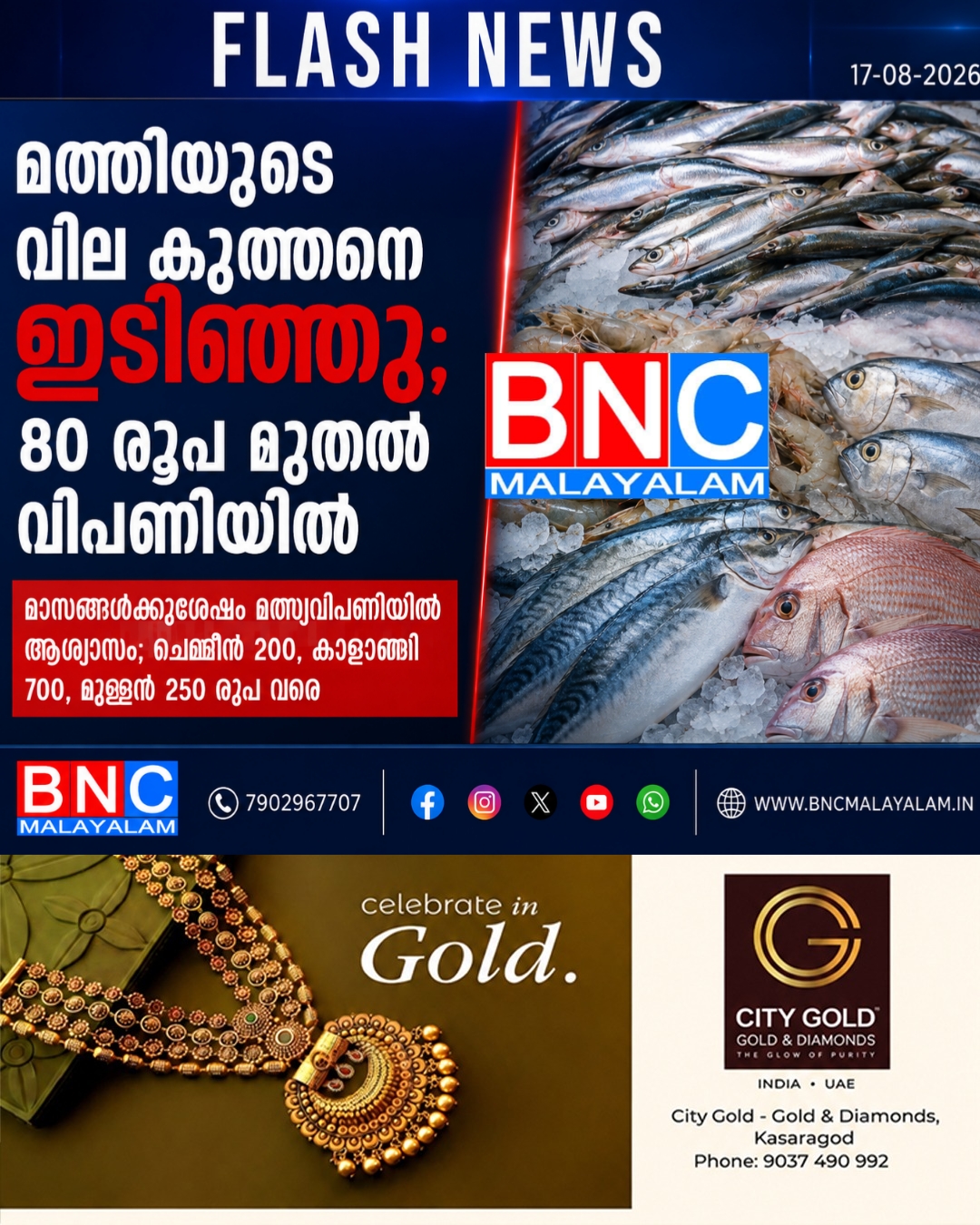 516: മത്തിയുടെ വില കുത്തനെ ഇടിഞ്ഞു; 80 രൂപ മുതൽ വിപണിയിൽ